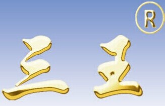 Ningbo Sanwang Auto Parts Co. Ltd.